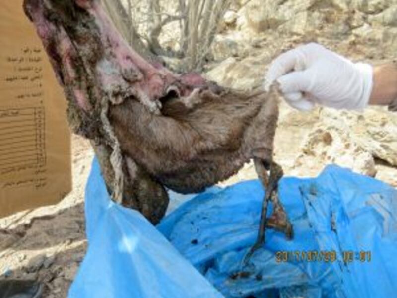 قاموا بارتكاب “جناية مُؤثمة” في يتي: 6 أفراد من عائلة واحدة إلى “السجن”