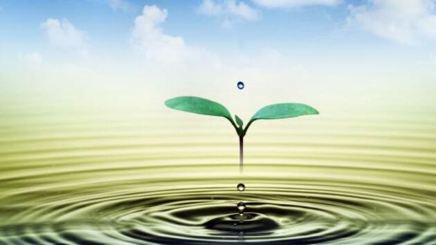 حياتنا فرص متجددة