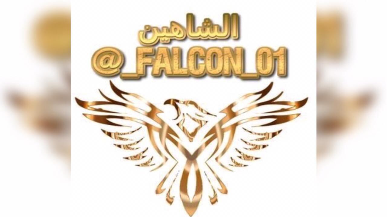 د.سالم بن سلمان الشكيلي يكتب: عجيبٌ أمرك أيّها الشاهين