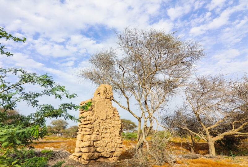 ماذا تعرف عن سور المشافرة في بركاء؟