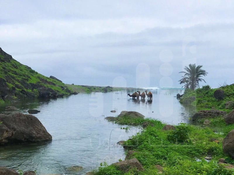 بالصور والفيديو: مناظر وشلالات لم تراها من قبل في محافظة ظفار