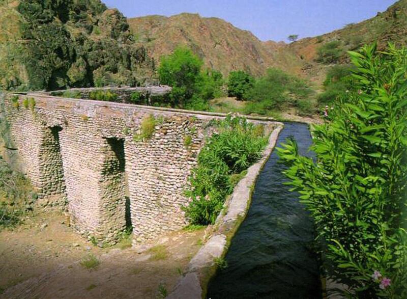 ماذا يحدث بعد ظهور علامة نجم سهيل؟