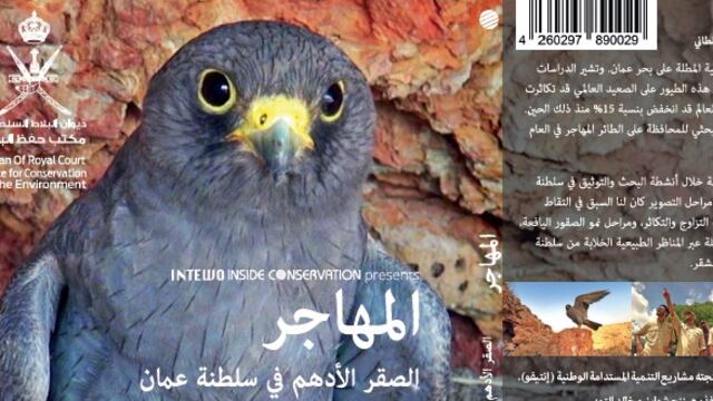 الصقر الأدهم…فيلم وثائقي عن الطائر المهاجر في السينما المحلية الأربعاء