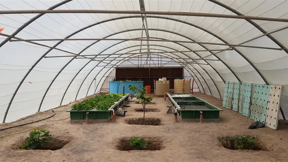 نجاح الزراعة الأحيومائية في مدرسة مالك بن فهم