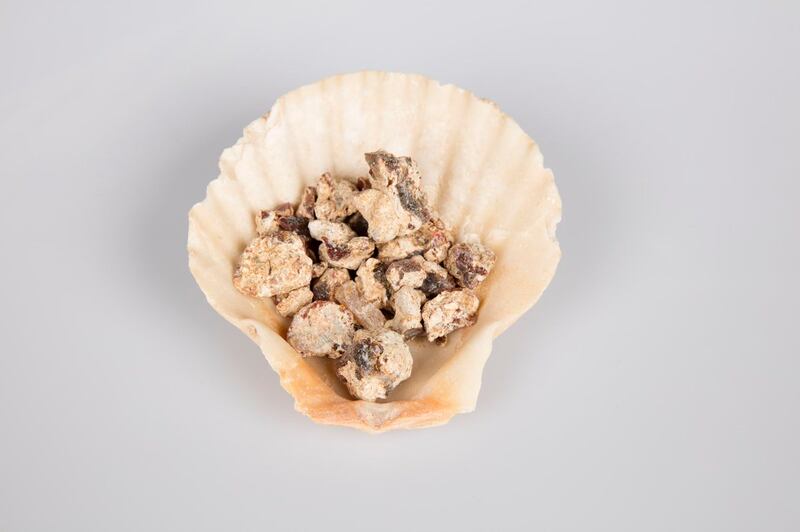 متحف اللوفر في أبوظبي يستعير مقتنيات من المتحف الوطني العُماني