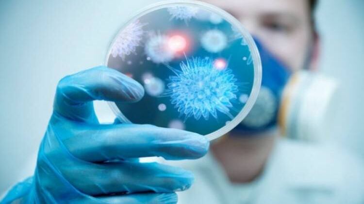 تسجيل إصابة سادسة لفيروس كورونا