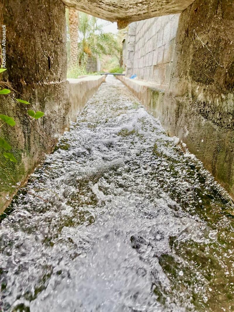 إبراهيم الفرعي يكتب: فلج الأخضر.. مآلات حياة