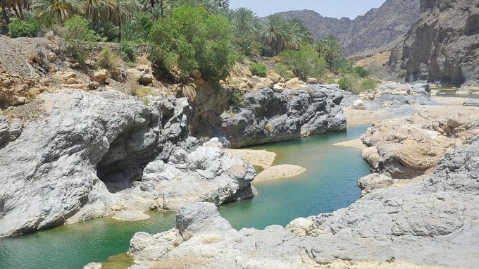 “كور الغابة” في وادٍ عُماني يقصده السياح من الداخل والخارج