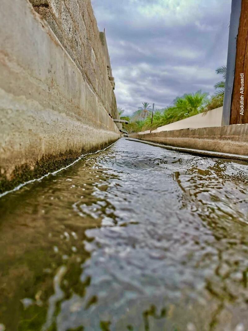 إبراهيم الفرعي يكتب: فلج الأخضر.. مآلات حياة