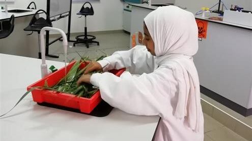 فريق تعليمية الداخلية يحقق المركز الأول في مسابقة كويتية