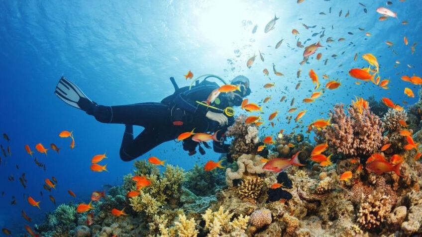 شاب عماني يحكي قصة نجاحه في مشروع للمغامرات