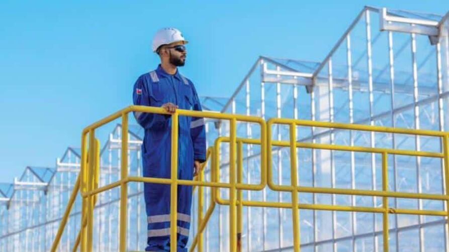 إذا كانت لديك المؤهلات المطلوبة، فتنمية نفط عمان لديها 10 فرص وظيفية