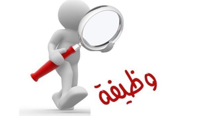 د.سالم بن سلمان الشكيلي  يكتب: معالي وزير القوى العاملة؛ هل من مزيد؟