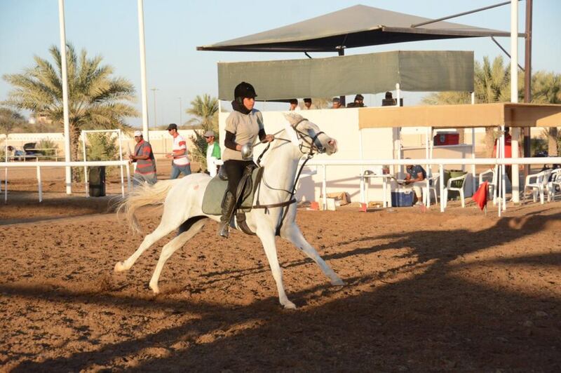 سيارة للفريق الأول: تعرف على عدد المشاركين في منافسات العيد الوطني الـ 50 لالتقاط الأوتاد