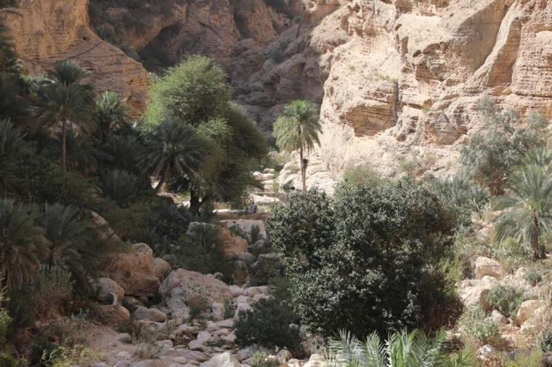 قرية “تعب”.. جمالها يأسر الحواس ويزيل كل تعب