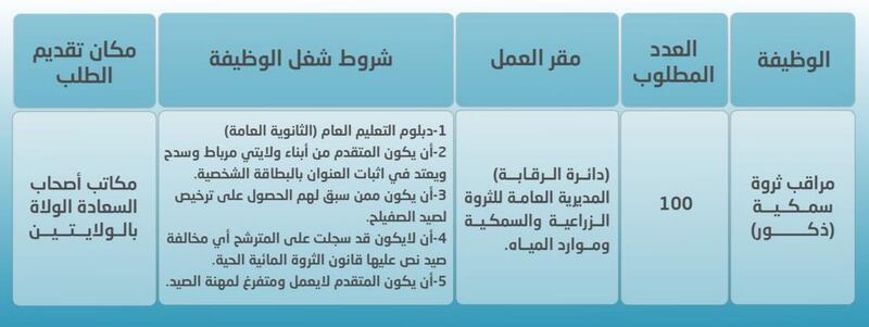 الإعلان عن 100 فرصة وظيفية في إحدى الوزارات
