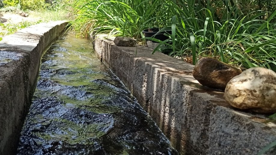 الفتح.. فلجٌ غيلي مياهه متدفقة