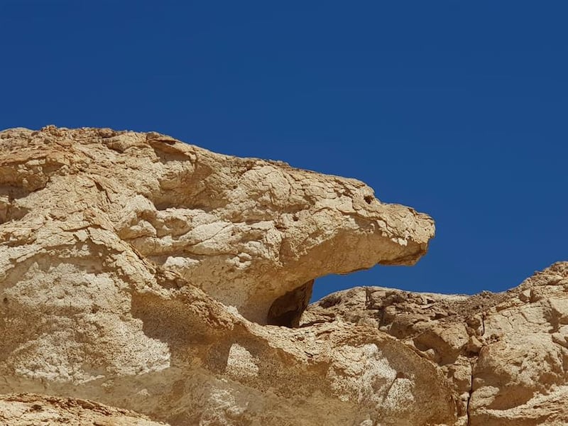 ترسبات صخرية عمرها أكثر من 50 مليون سنة في إحدى الولايات