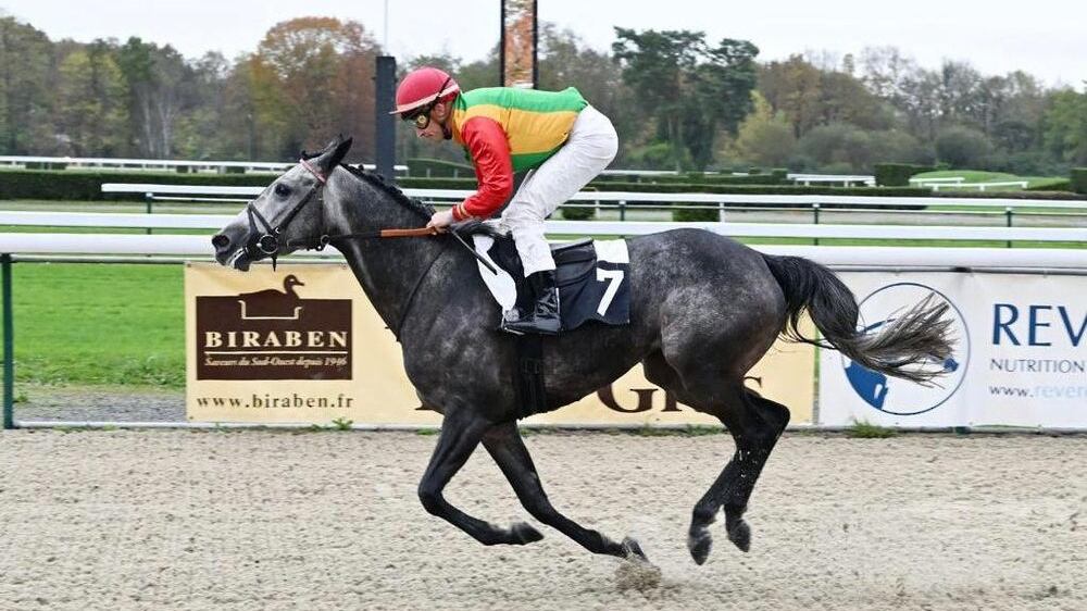 “كوثر” تحصد الصدارة في سباق فرنسي