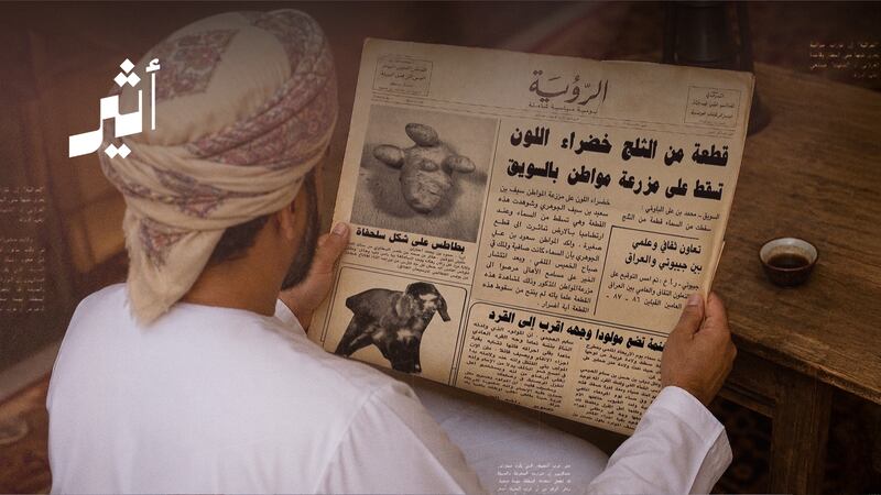 من غرائب الأخبار: بطاطس تتشكّل كسلحفاة، وثلج يهبط بلونٍ غير مألوف، وشاة تولد بملامح غريبة