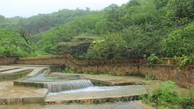 ماذا تعرف عن عين طبرق ذات الأشجار الكثيفة؟