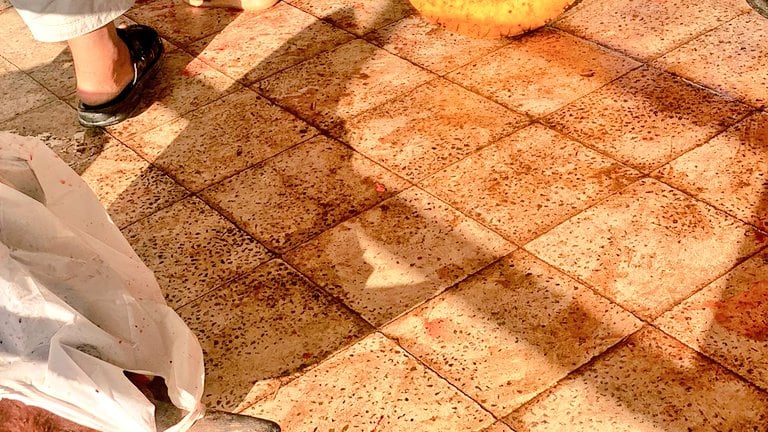 بالصور: مسلخ بلا نظافة، ولا اشتراطات صحية