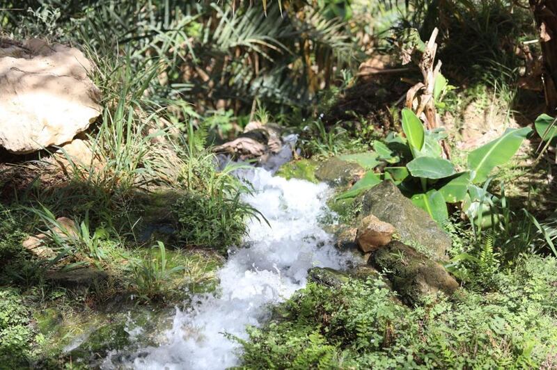 قرية “تعب”.. جمالها يأسر الحواس ويزيل كل تعب