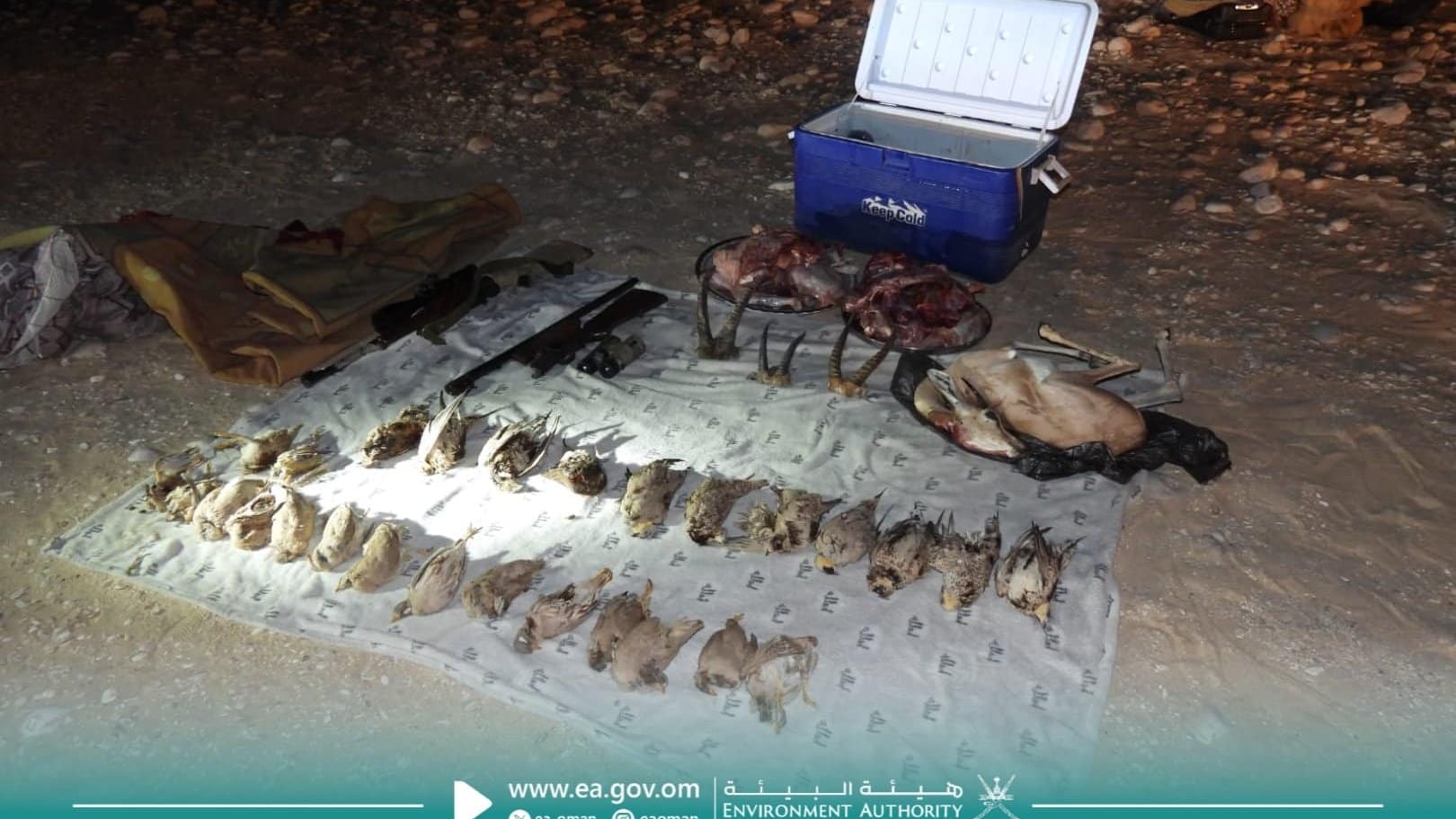 للقانون كلمته فيمن قاموا بصيد حيوانات محظور صيدها