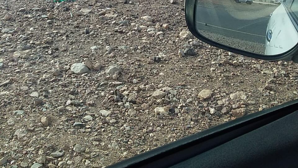 وفاة طالبين جامعيين “بحادث عارض”