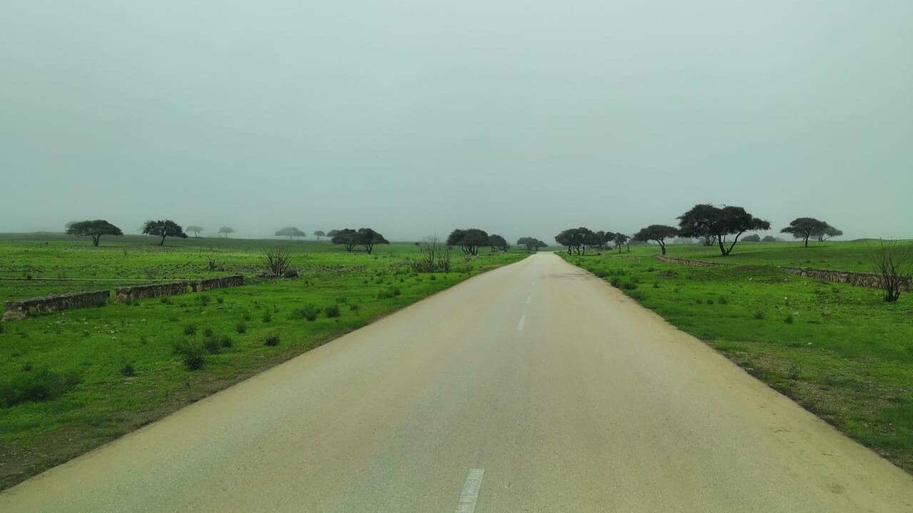 بالصور: تعرف على “جبجات” مقصد موسم “الصرب”