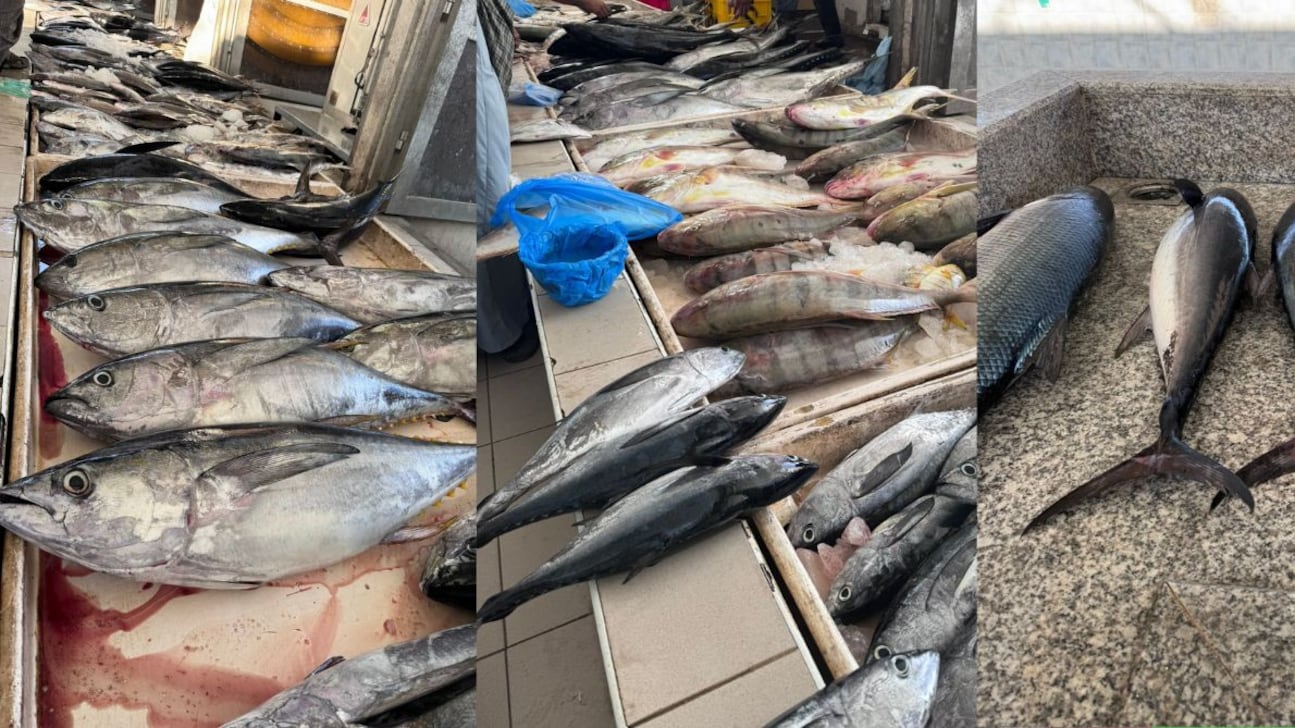 الكيلو وصل بريال: كيف يمكن استثمار موسم الجيذر؟