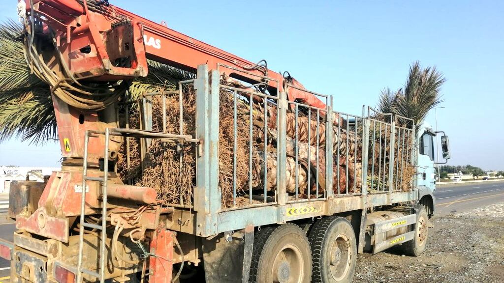 ضبط شاحنة تُخالِف قانون الحجر الزراعي