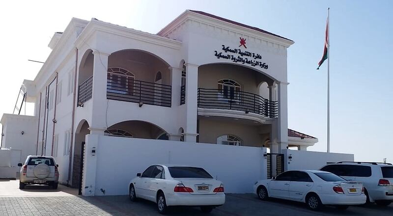 بيع منه بنحو 5 ملايين ريال العام الماضي: بدء موسم صيد “جراد البحر”