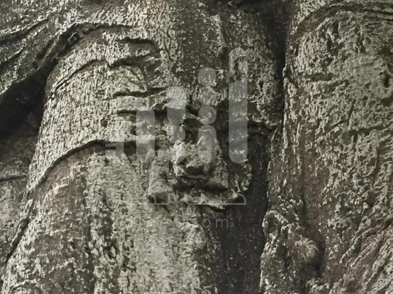 بالصور: مواطن يوثّق رسومات مثيرة وأشكالًا غريبة على  شجرة عملاقة عمرها أكثر من 2000 عام
