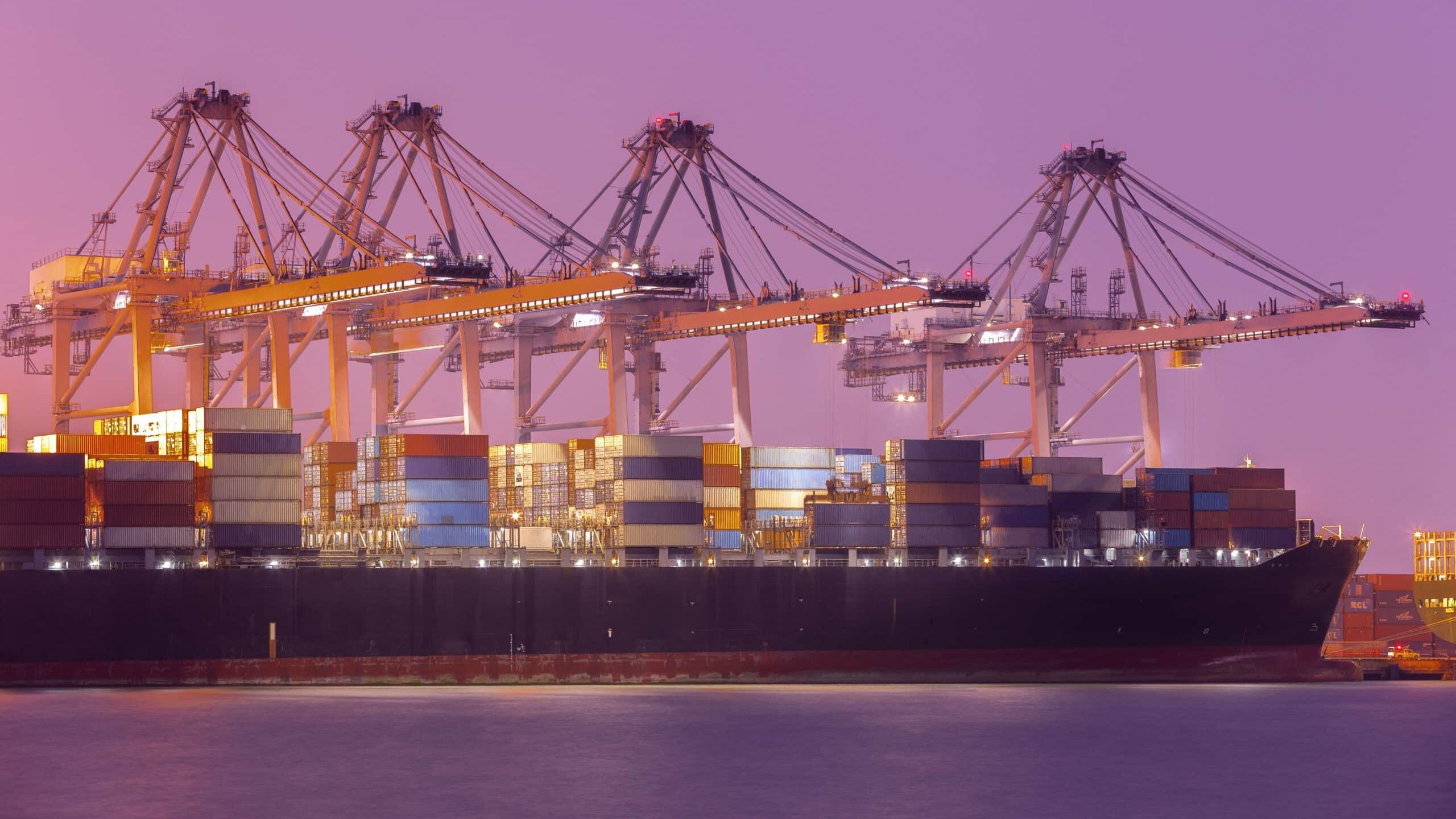 زيادة ملحوظة في الاستيراد: مركز سلامة وجودة الغذاء يكشف عن أرقامه في عام 2023