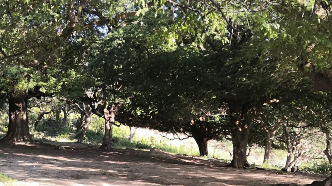 بالصور: “شعبون” مكان سياحي ساحر في ظفار