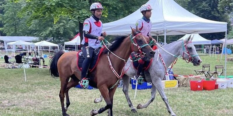 ألقاب جديدة للخيالة السلطانية في بولندا وفرنسا