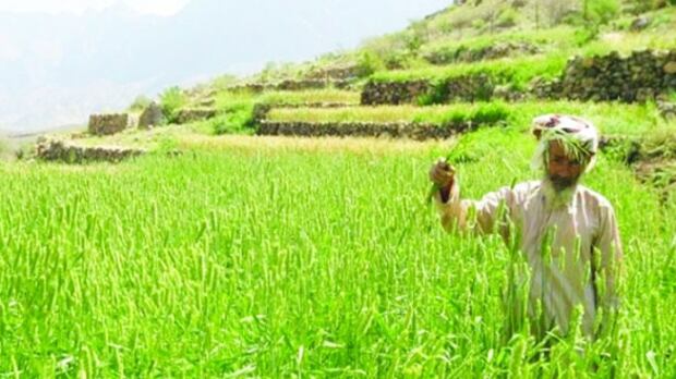 مختبر لتصميم برنامج استثماري عماني في الأمن الغذائي