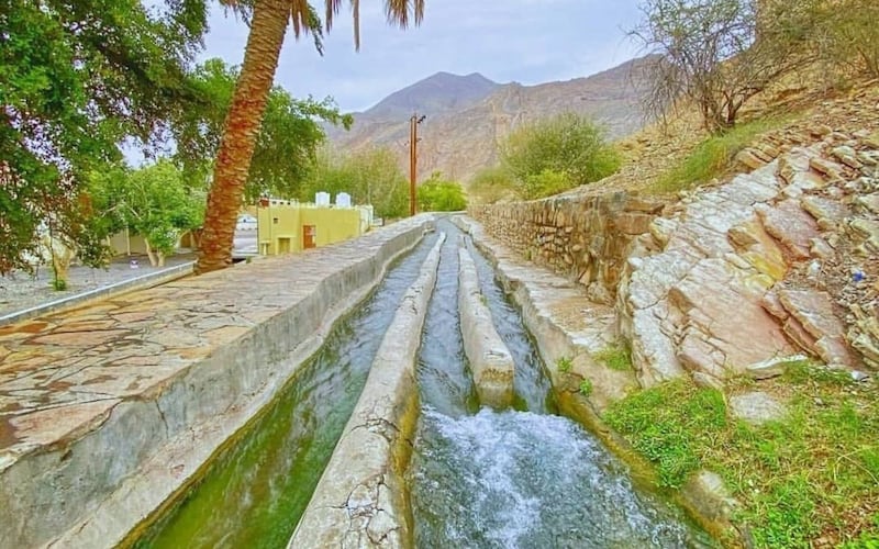 قصة تُثيرها تساؤلات واقعية: أما آنت لحظة الرأفة بأفلاجنا؟