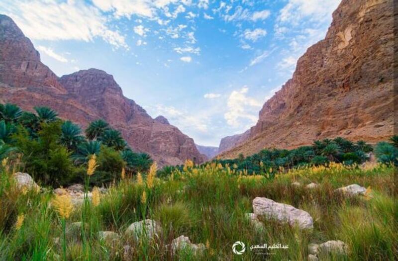 بالصور: “وادي العربيين” وجهة سياحية يعرقلها الطريق.. والمطالبات مُستمرة