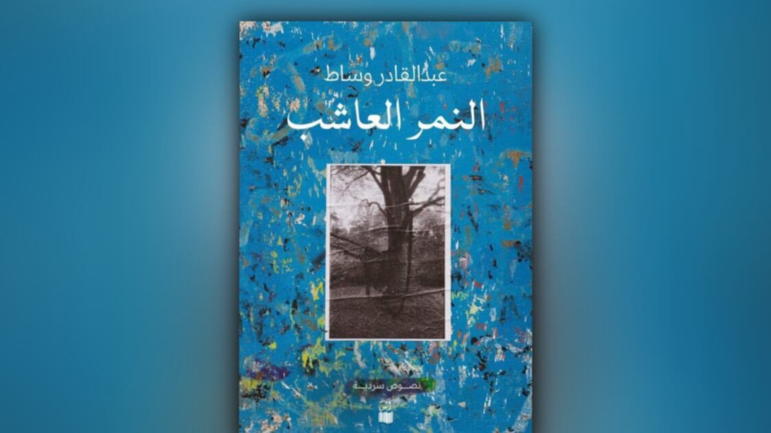 قراءة في “النمر العاشب”.. نصوص سرديّة لعبد القادر وساط