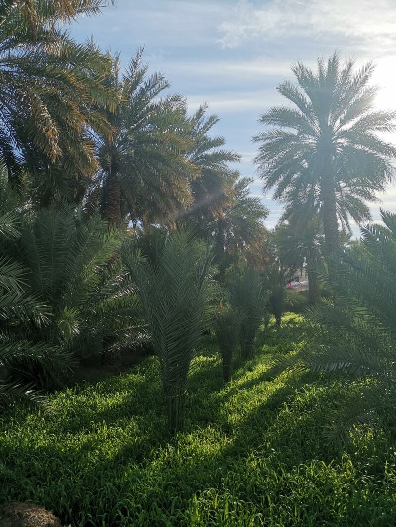 ماذا تعرف عن “العراقي” في عبري؟