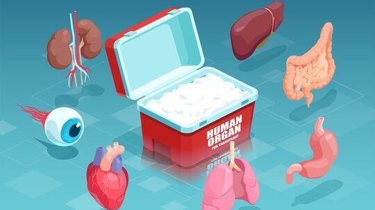 أملٌ جديدٌ لزراعة الأعضاء في السلطنة عبر تأسيس رابطة عمانية لها