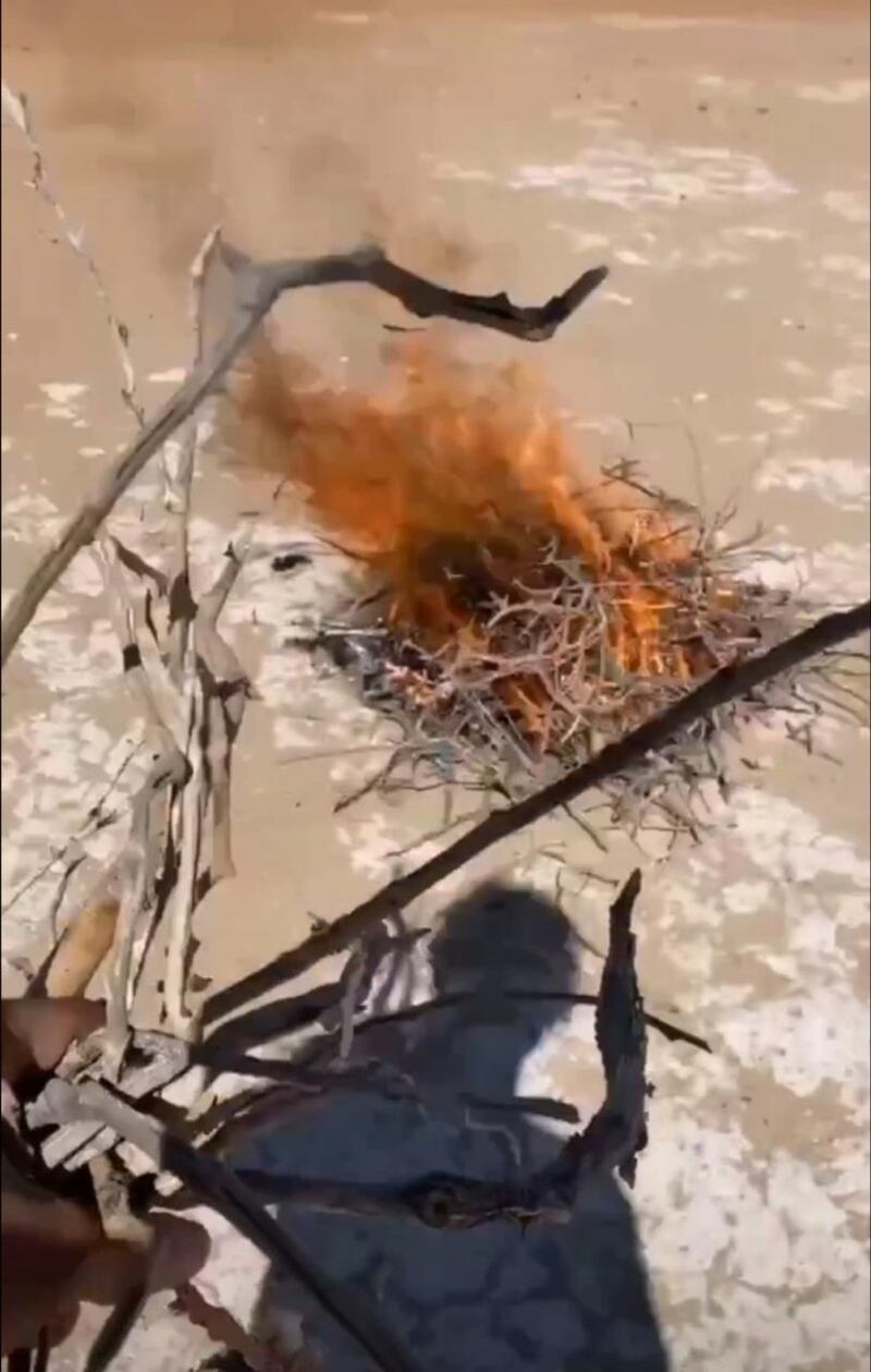البيئة توضح حول مقطع لتعذيب الثعالب