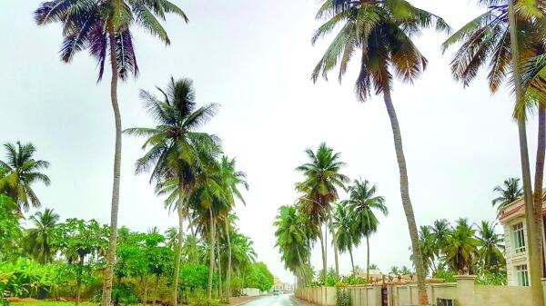 100 بيسة لاستخدام دورات المياه ذاتية التشغيل في ظفار