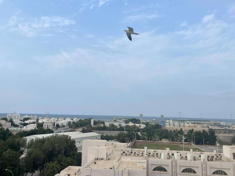 بَوْحٌ إلى عُمان من شاعر سوري