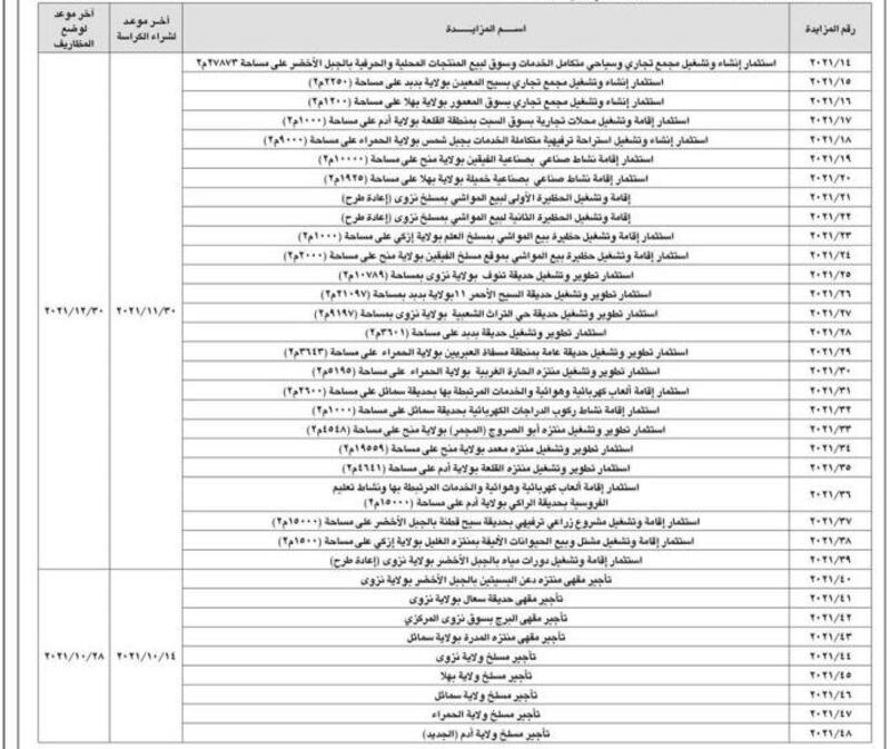منها متنزّهات وحدائق عامة ومراكز تجارية: الإعلان عن 35 مزايدة للاستثمار