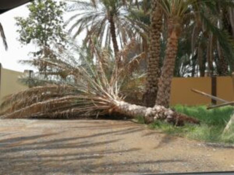 أضرار في عدد من الولايات بسبب الأمطار