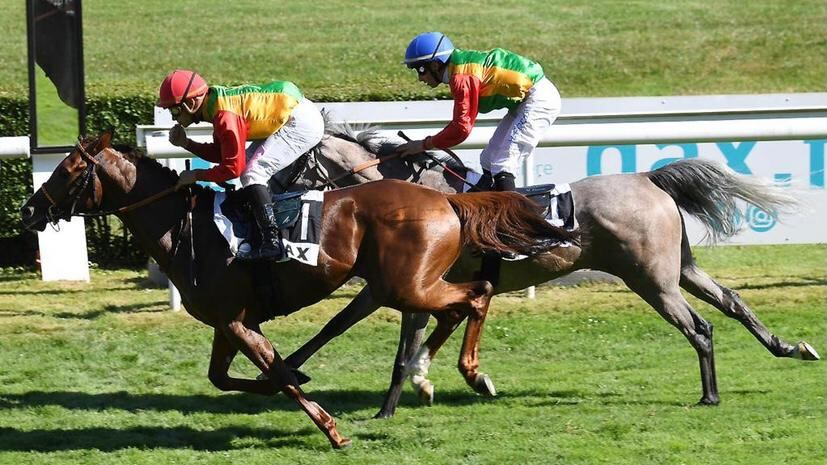 إنجاز جديد للخيالة السلطانية في فرنسا