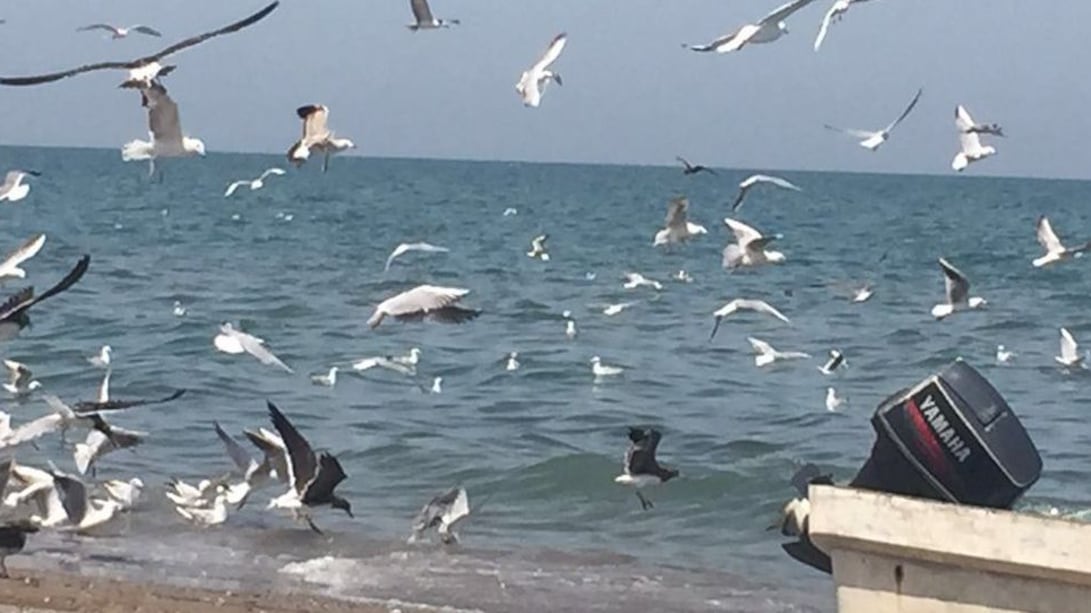 العثور على المواطنين المفقودين في البحر